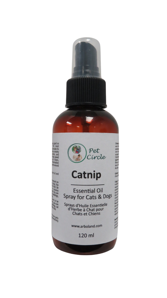 Catnip 120ml