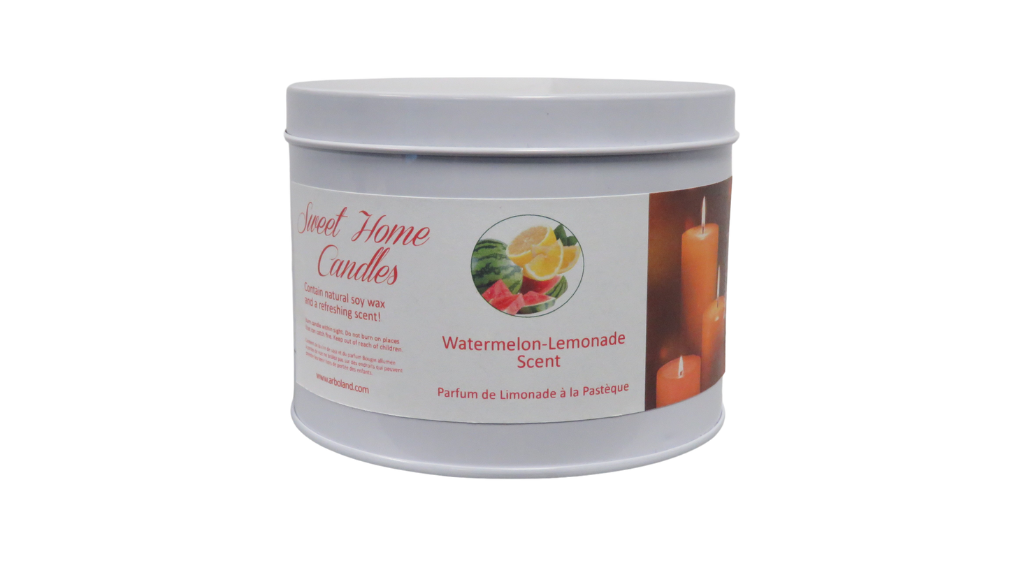 Watermelon Lemonade 400ml