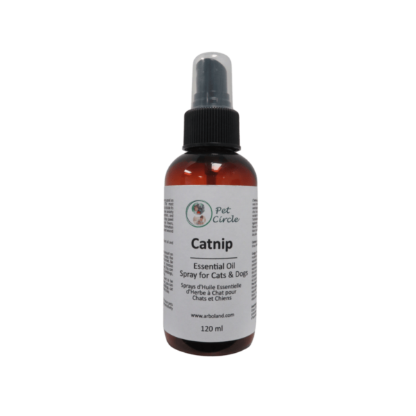 Catnip 120ml